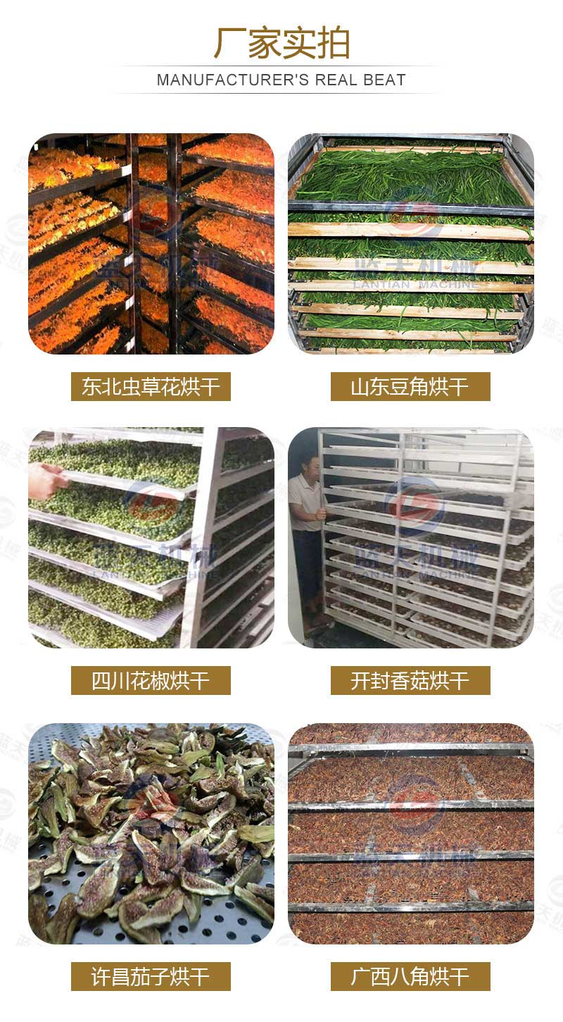 蟲(chóng)草花烘干機廠(chǎng)家實(shí)拍