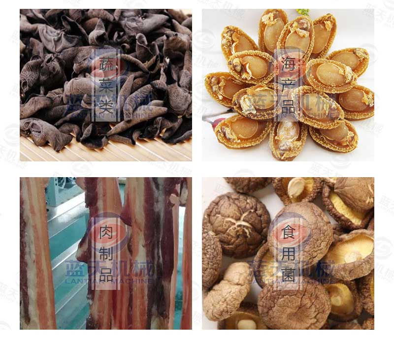 蟲(chóng)草花烘干機應用范圍