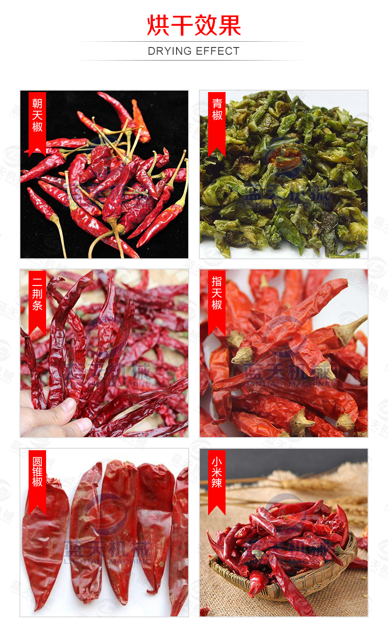 辣椒烘干機烘干效果