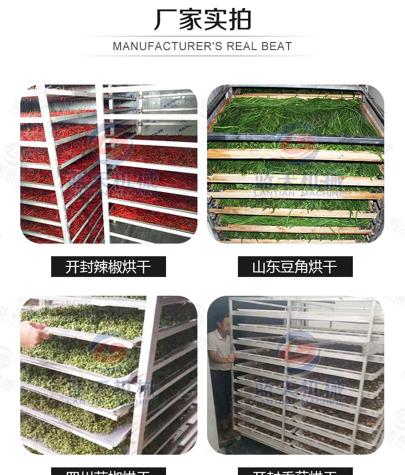 海帶烘干機廠(chǎng)家實(shí)拍