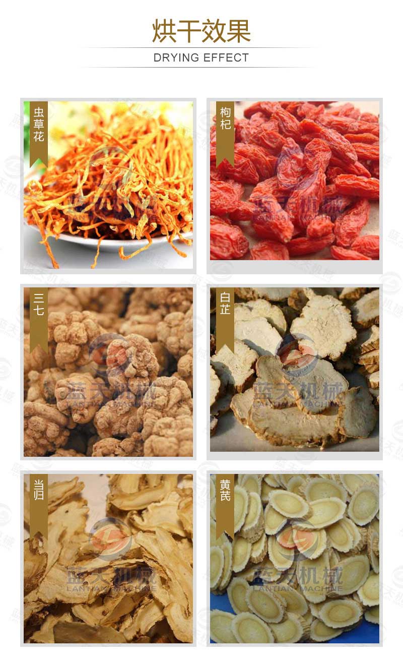 空氣能蟲(chóng)草花烘干機烘干效果