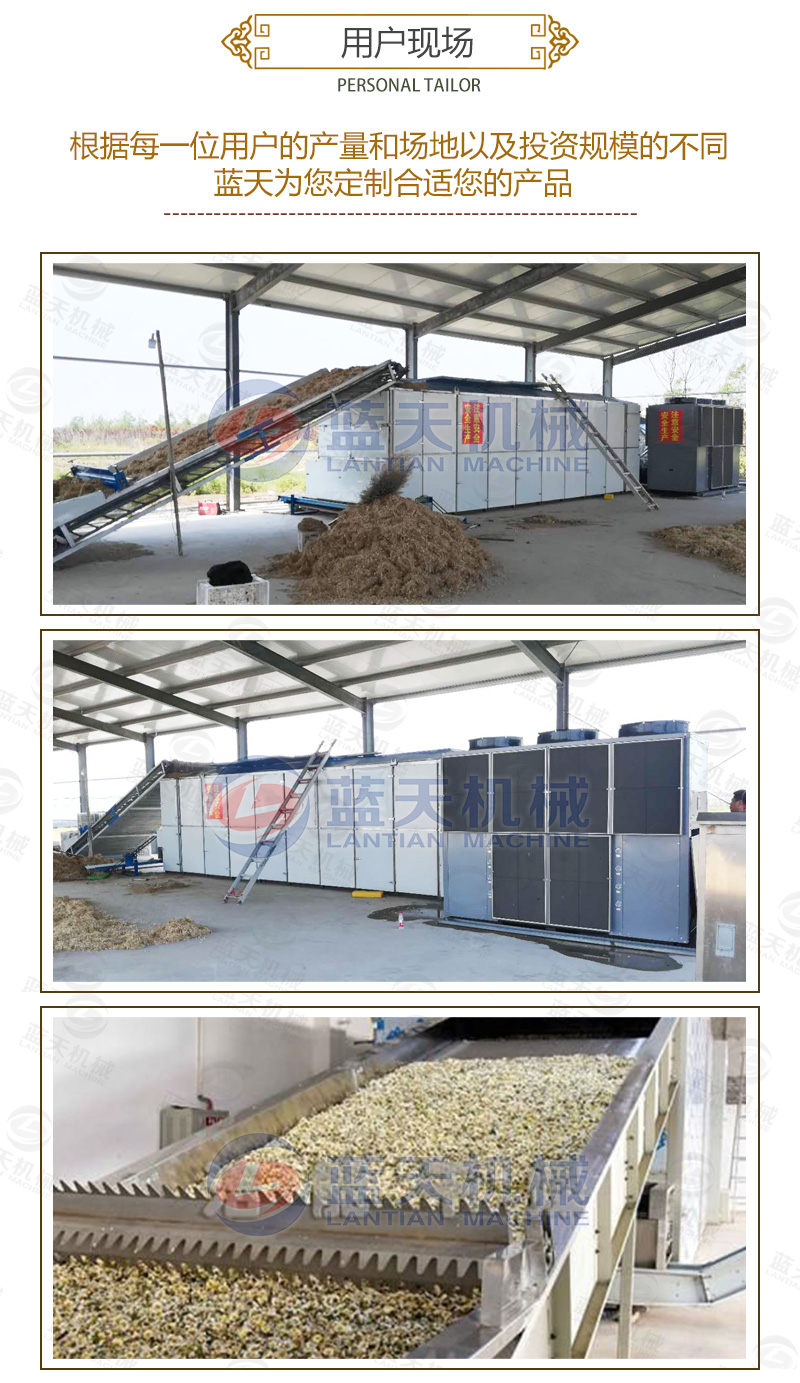 金銀花網(wǎng)帶式烘干機用戶(hù)現場(chǎng)